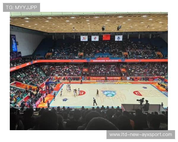 山东高速男篮外线逐渐成型，三分球战术成新亮点