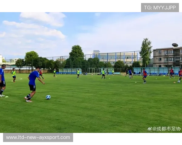 足球俱乐部在青训中建立成长档案与学业跟踪系统保障全面发展，足球青训俱乐部规划